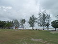 Tanjung Balau