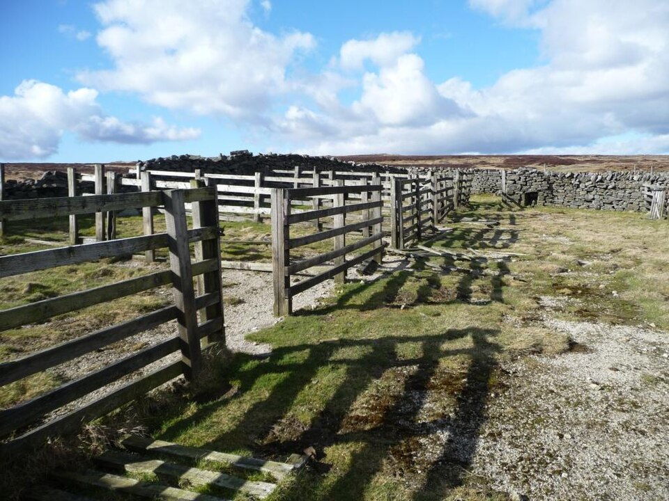 File:Inside the sheepfold, Surrender Ground - geograph.org.uk - 2867160.jpg