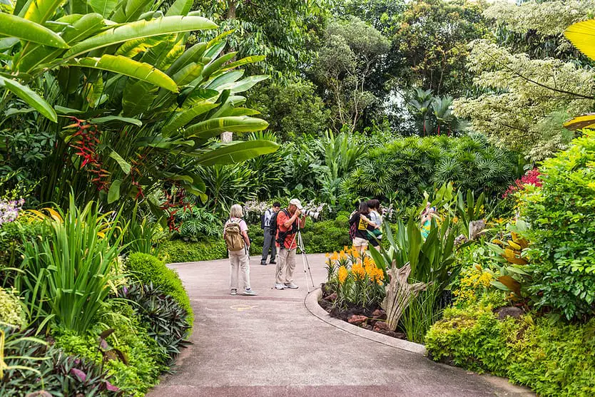 Singapore Botanic Gardens