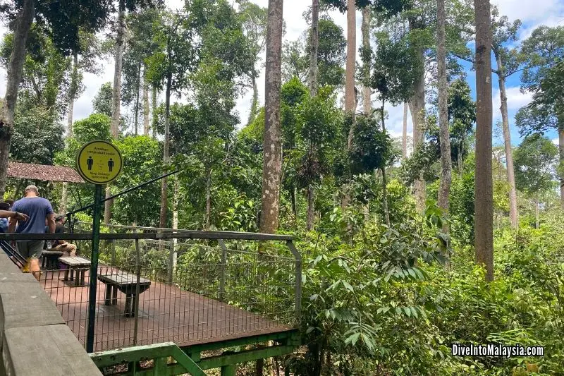 Bornean Sun Bear Conservation Centre view area
