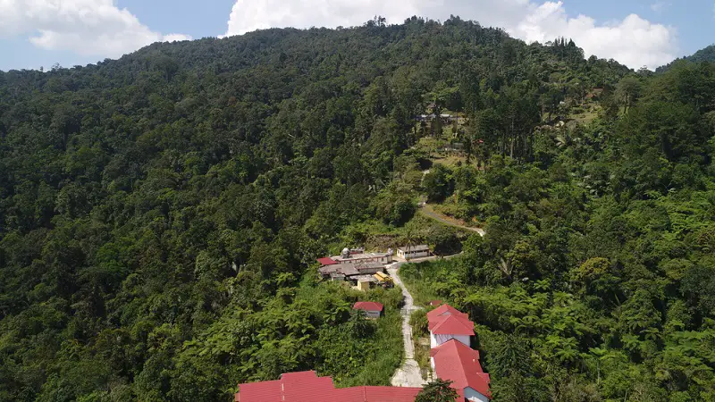 Bukit Larut (Maxwell Hill) Taiping