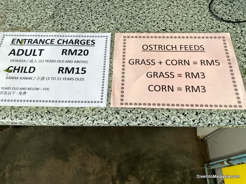 Desaru Ostrich Farm entry prices