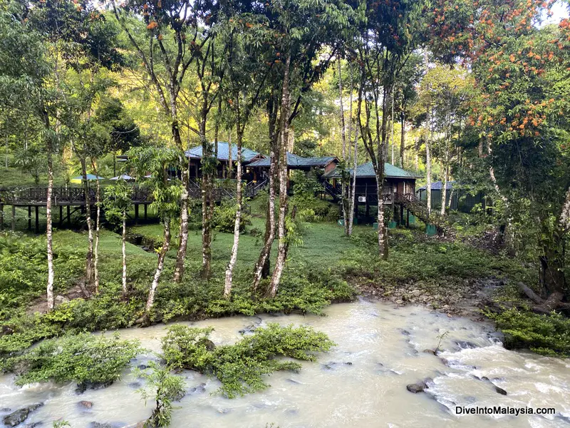 Tabin Wildlife Resort