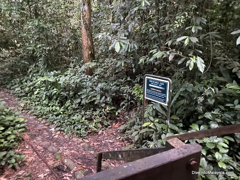 Summit trail where it branches from the main trail to Deer Cave