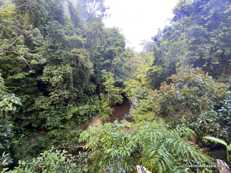 Views from Mulu Canopy Skywalk Gunung Mulu National Park
