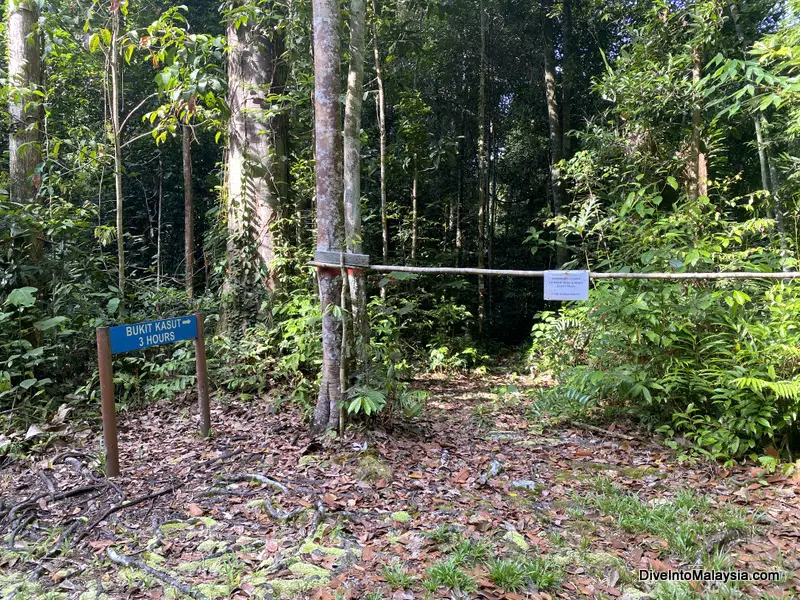 Niah Caves The start of the trail to Bukit Kasut