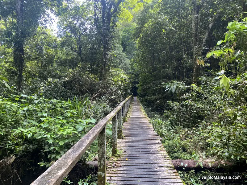 Trekking at Niah Caves