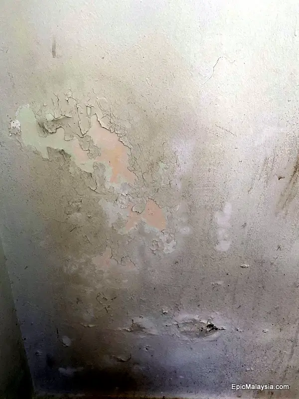 Avillion Port Dickson bathroom wall damage