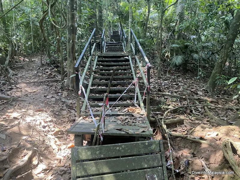 Taman Negara Canopy Walk broken path taped off