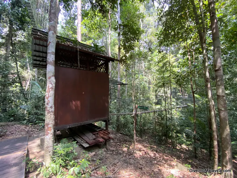 Taman Negara Canopy Walk end