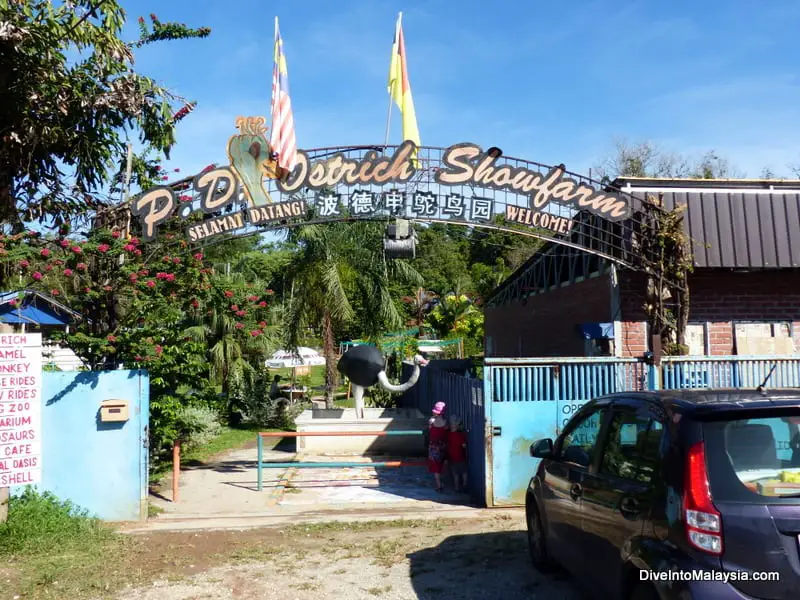 pd ostrich show farm price